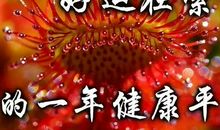 2019励志的春节祝福语