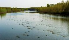 关于自然风光的成语