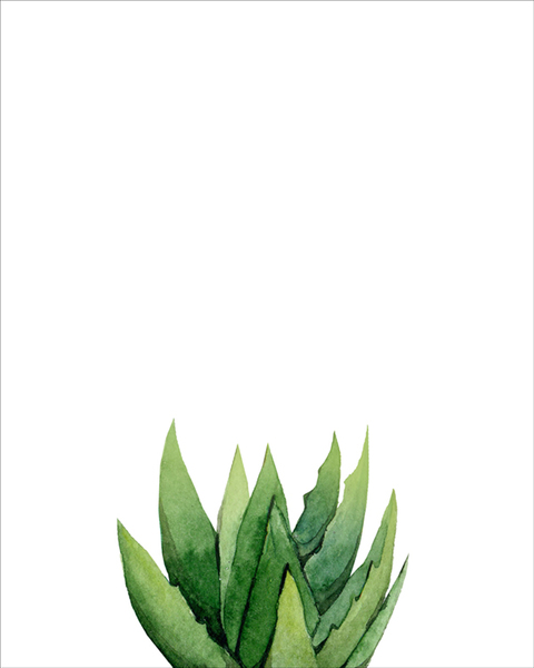 用树叶的隐喻