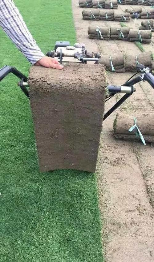用机巧