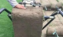 用别出心裁造句大全