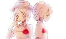 关于女人美丽的句子