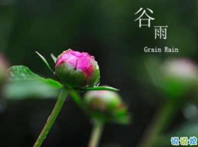 谷雨谈