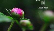 谷雨说说