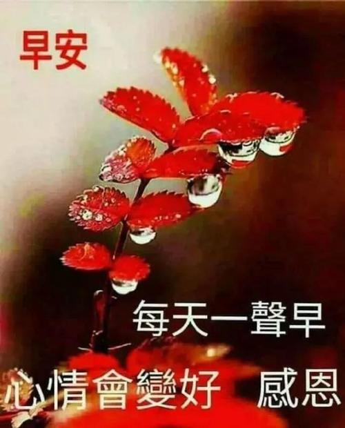 新年祝福
