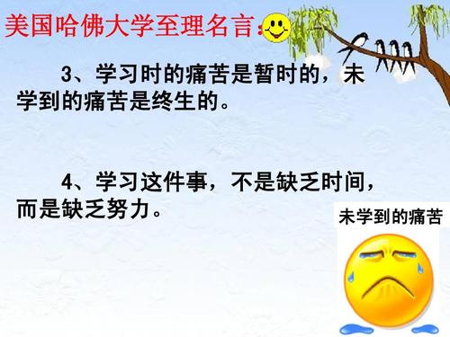 哈佛大学行情