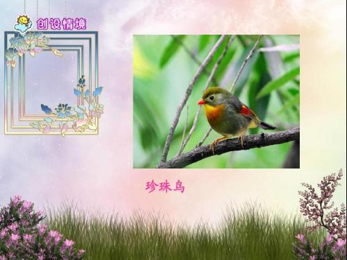 荷叶