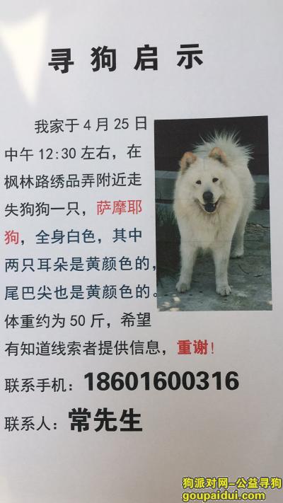 狗年春节感恩短信