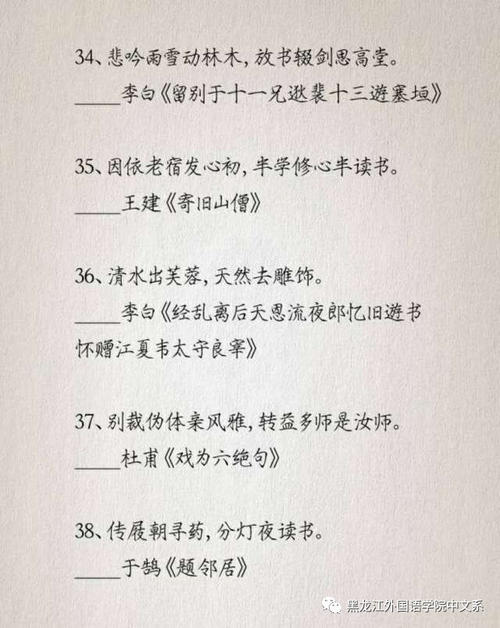 描述他人阅读的句子