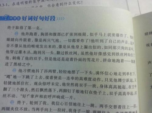 美丽的寓言