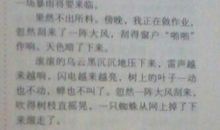 关于描写雨的片段