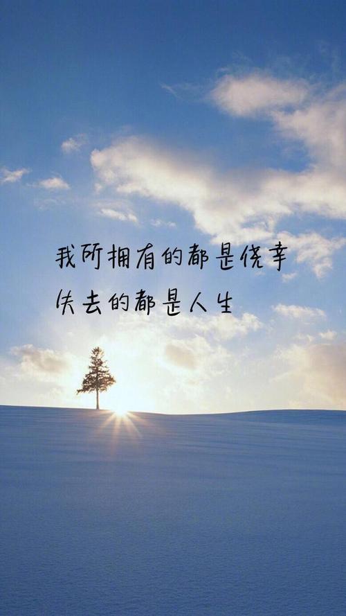 豆阴上很酷的句子