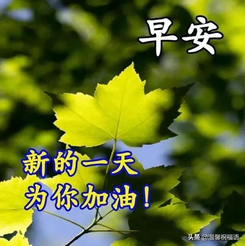 一声问候