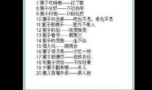 草帽烂了边歇后语