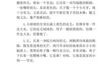 描写爷爷的比喻句