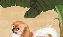 狗吃青草歇后语