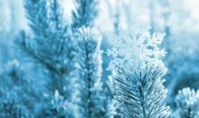 关于下雪的比喻句