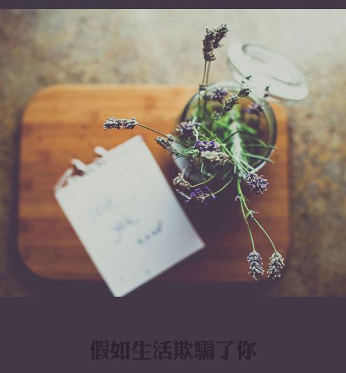 句子我不后悔