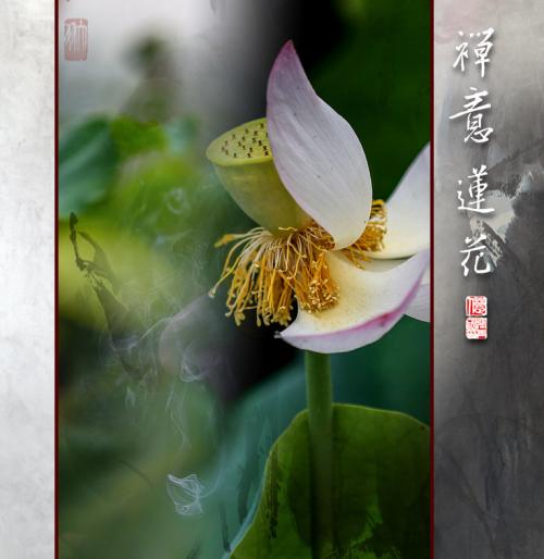 禅语
