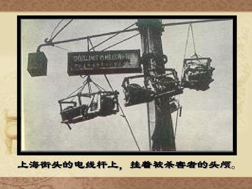 挂在电线杆上的羽毛寓言词