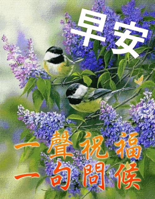 朋友的愿望2020
