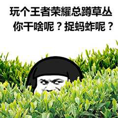 蚱hopper战斗公鸡寓言