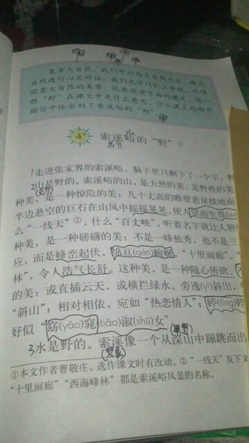 关于鸟类的寓言