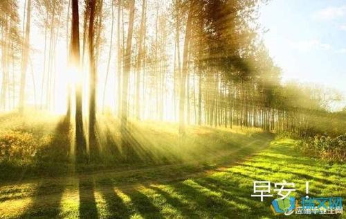 中午祝福