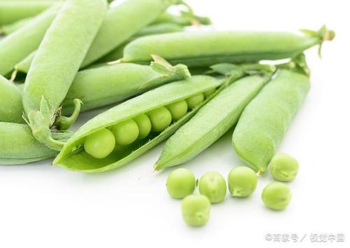 比喻句四年级