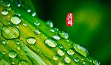 2020年微信祝福语大全