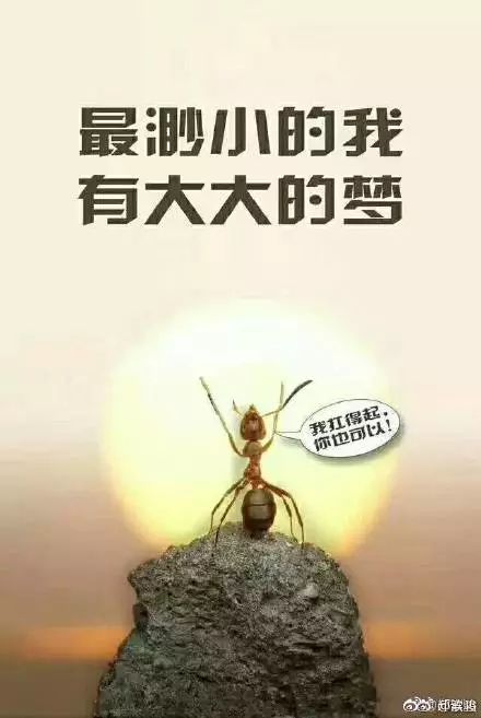 我想要成熟的句子