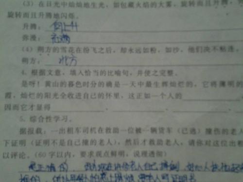 蘑菇比喻