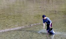 三手指捡田螺歇后语