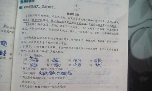 拟人化的句子写作果实
