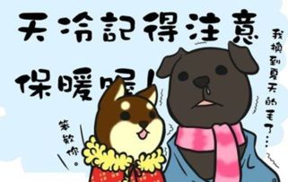 谈天冷
