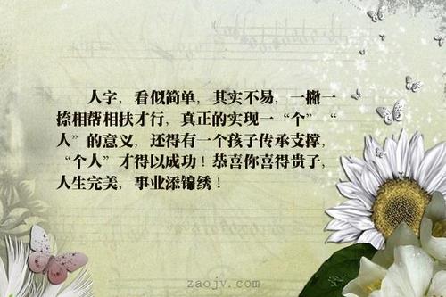 描述职业成功的句子