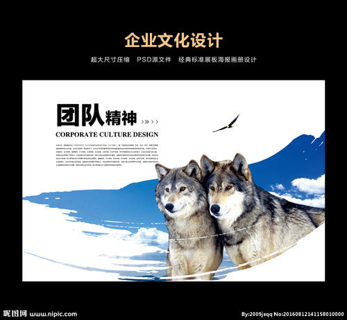 赞美团队合作的句子