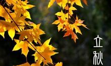 火爆玉米歇后语