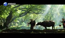 稻草人救火歇后语