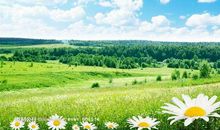 形容草原的比喻句