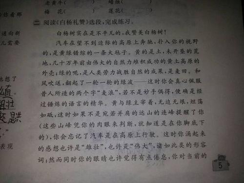 关于风景的寓言