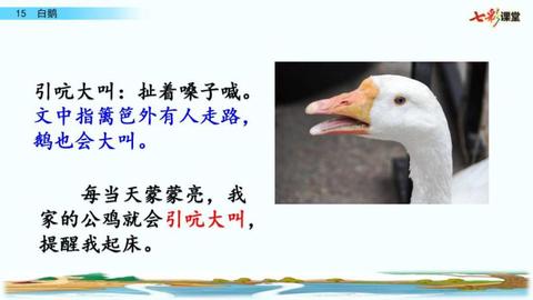 用冰