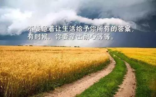 阳光句子正能量