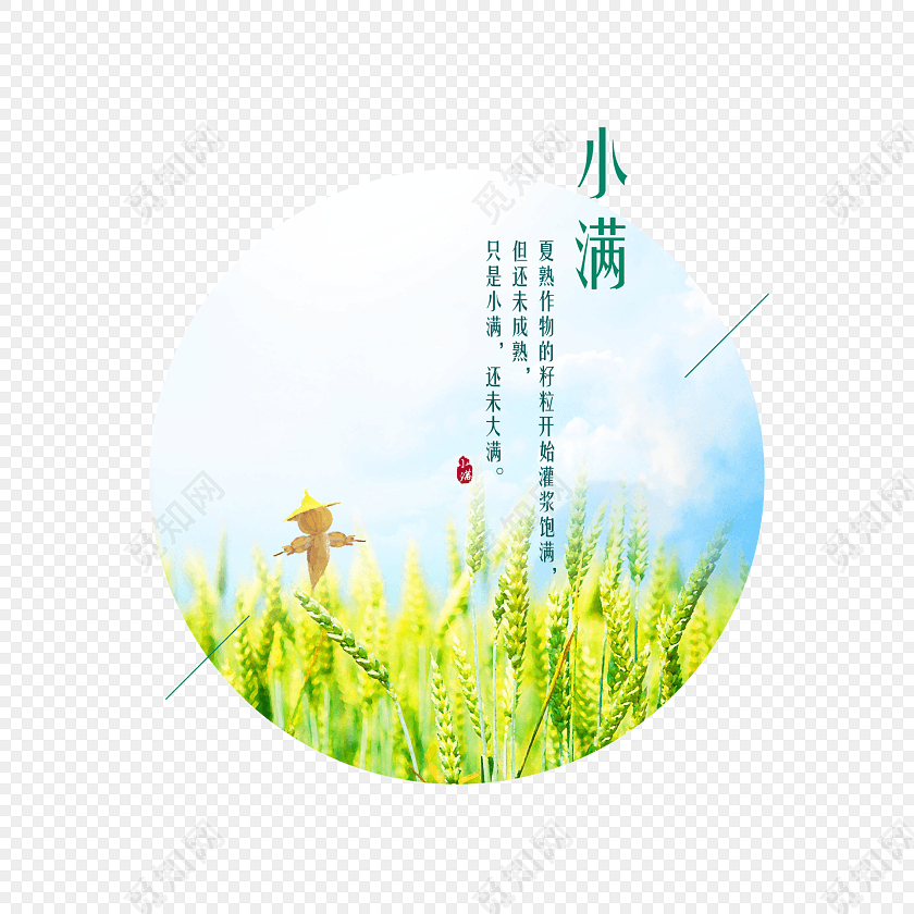 小满二十四节气谚语