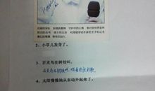小清新拟人句