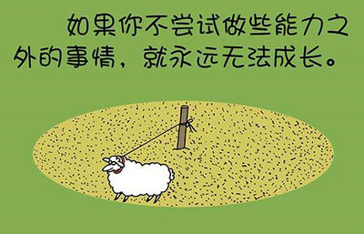 带有照片的哲学句子：生命中人脸，情感面孔，场景中最难吃的三种面条