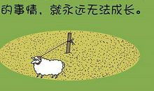 有哲理的句子带照片：人生最难吃的三碗面——人面、情面、场面