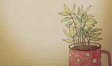 描写人成功的句子