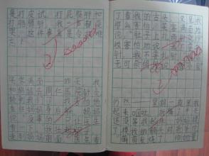 小学二年级