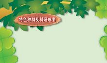 动物园宣传口号